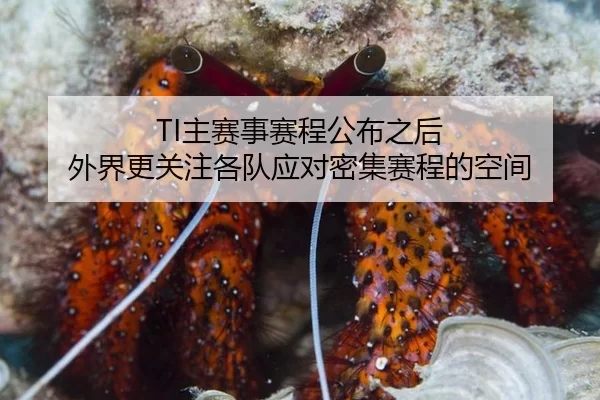 TI主赛事赛程公布之后 外界更关注各队应对密集赛程的空间